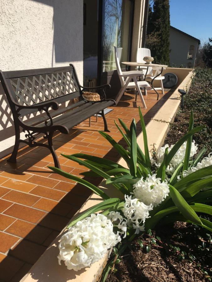Exklusives Apartment In Bad Saeckingen Fuer 2 Person Luaran gambar